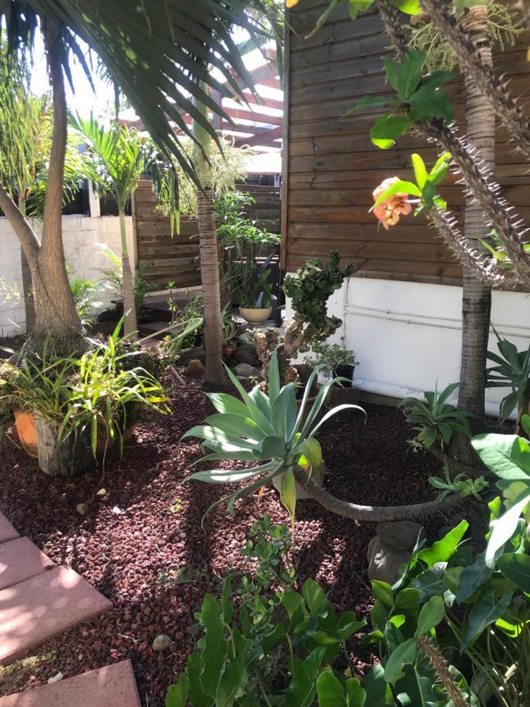 Villa Albizia 974 Avec Piscine Et Spa Saint Pierre Exterior foto